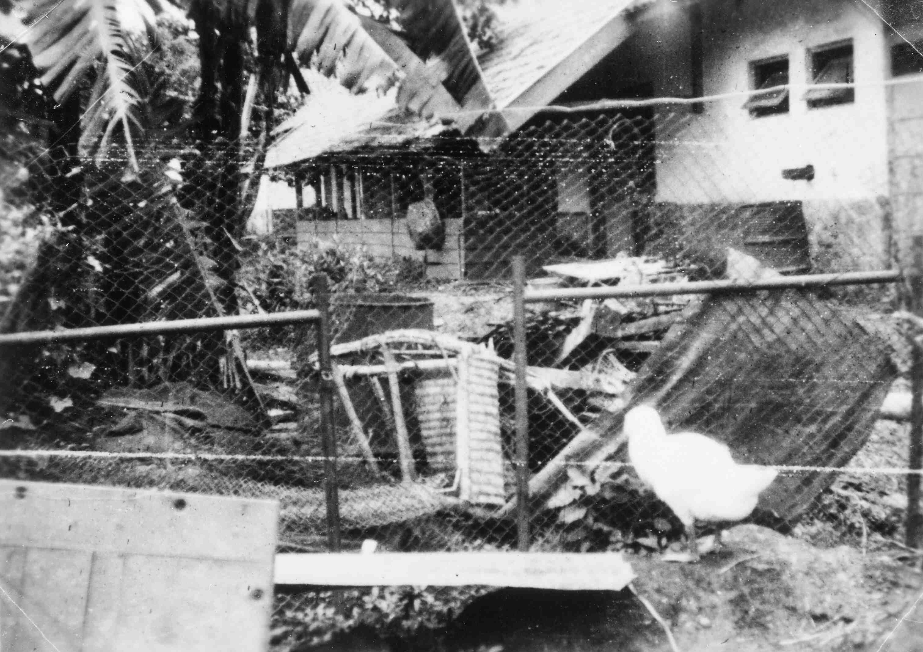 Westerpark, Bandoeng