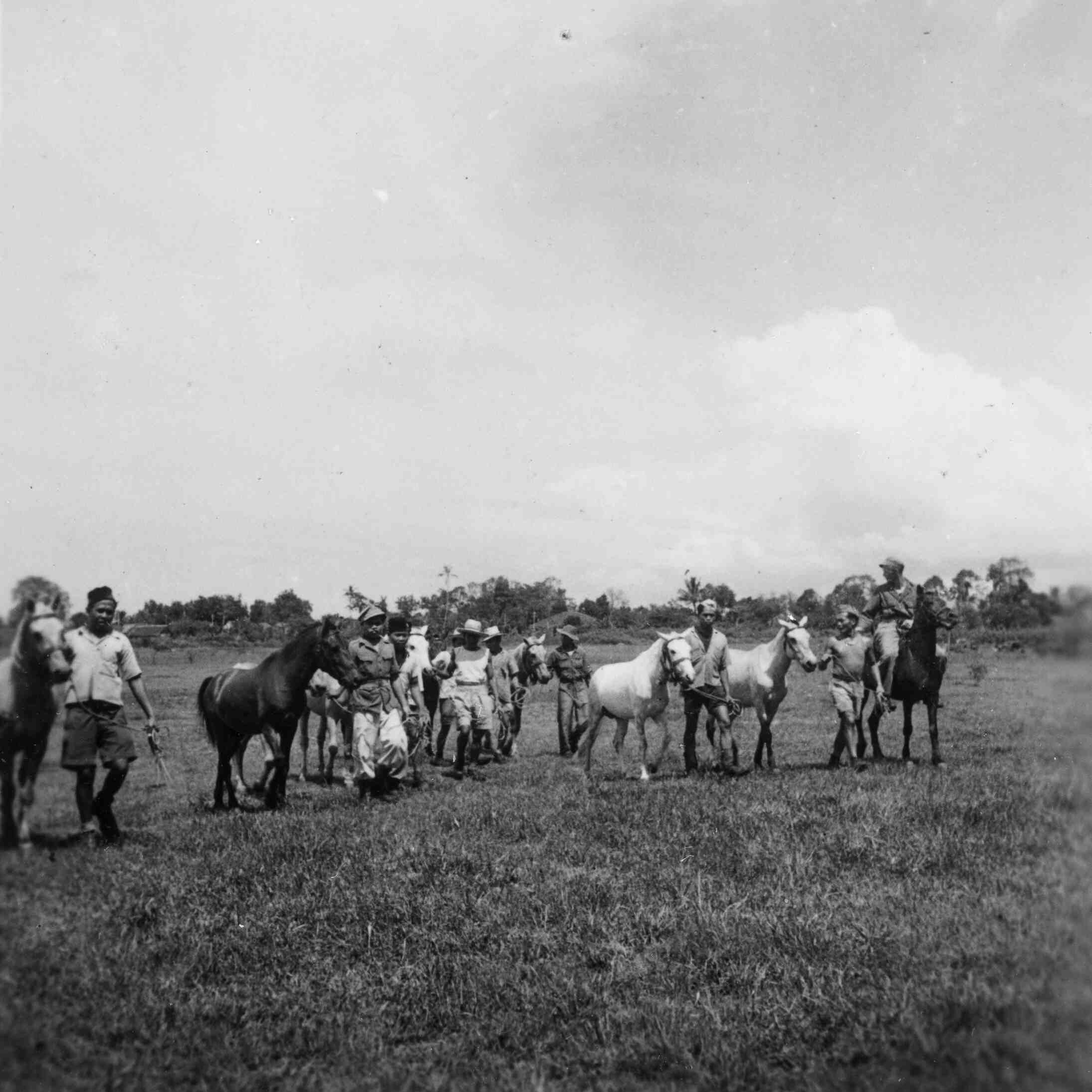 Paarden van mortier peloton van de KNIL te Java, 1946 of 1947