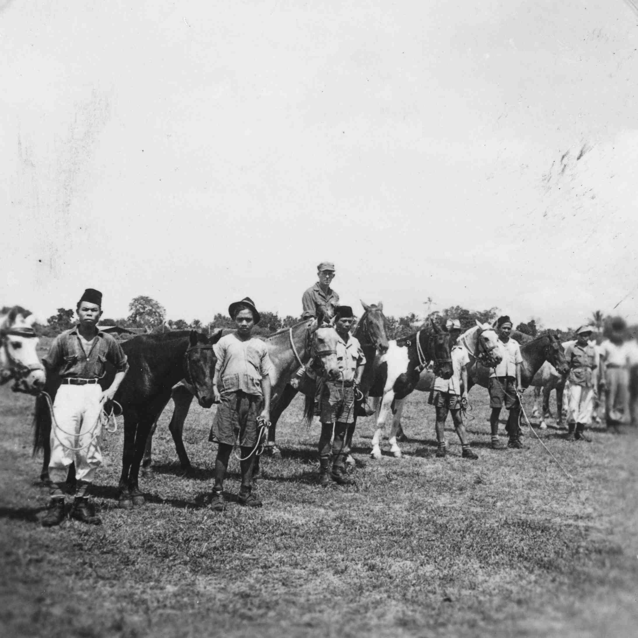 Paarden van mortier peloton van de KNIL te Java, 1946 of 1947