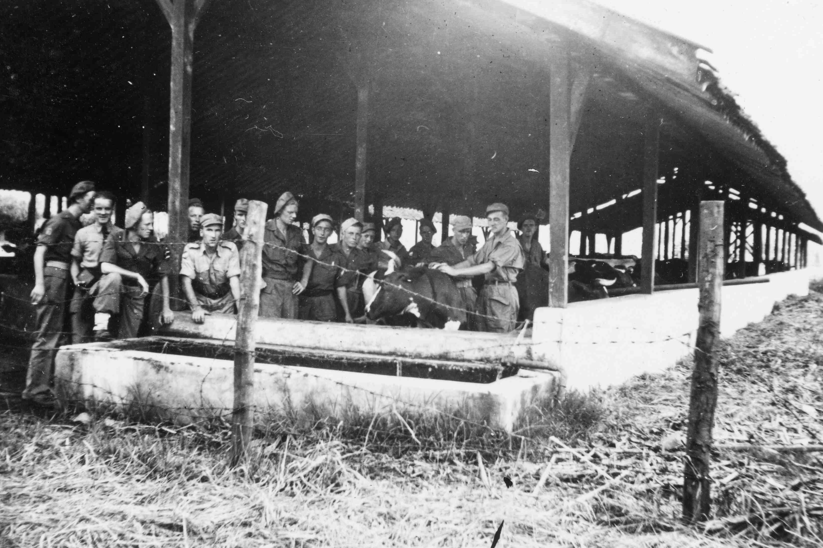 KNIL soldaten bij boerderij te Lembang, Java, 1946 of 1947