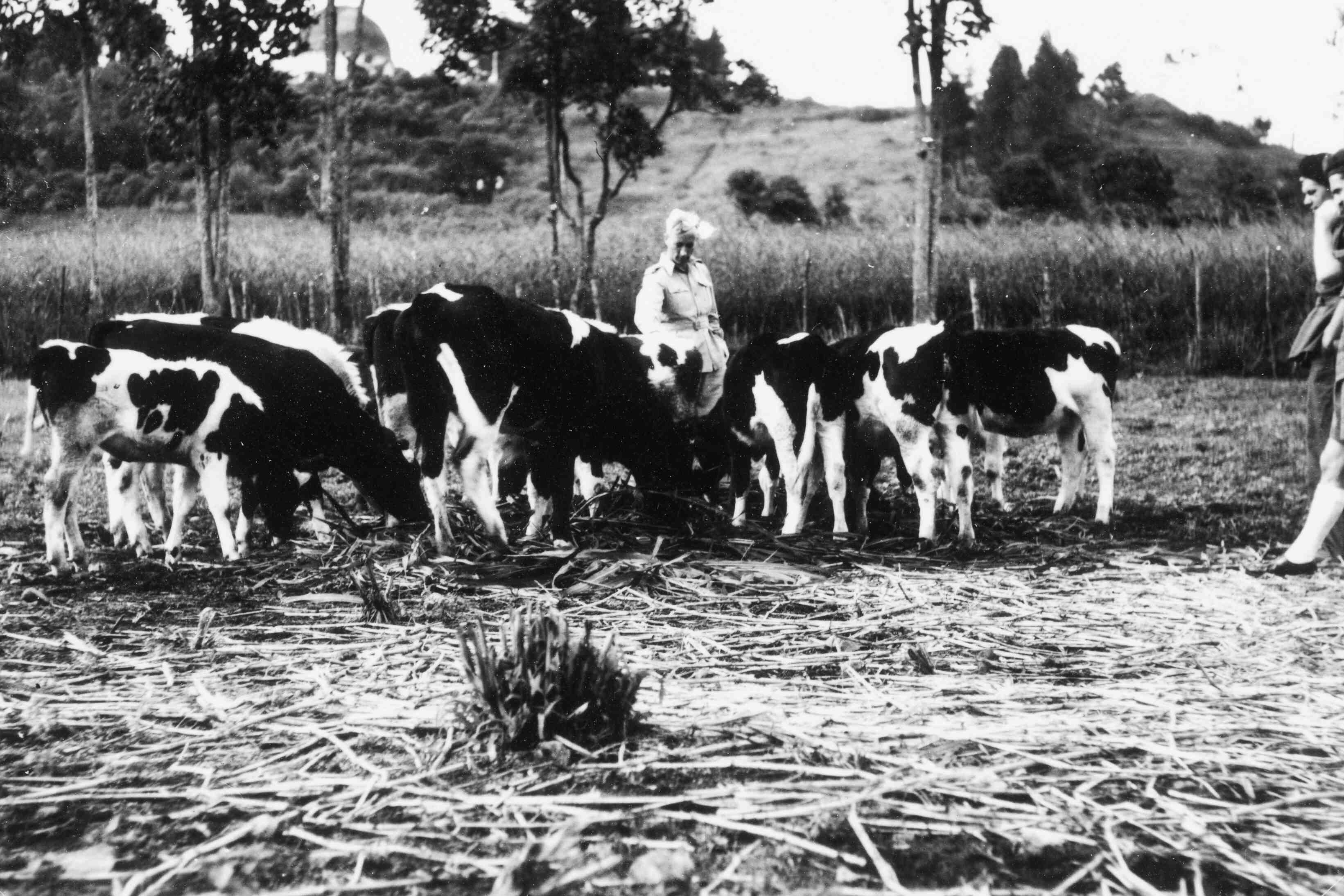 KNIL soldaten bij boerderij te Lembang, Java, 1946 of 1947