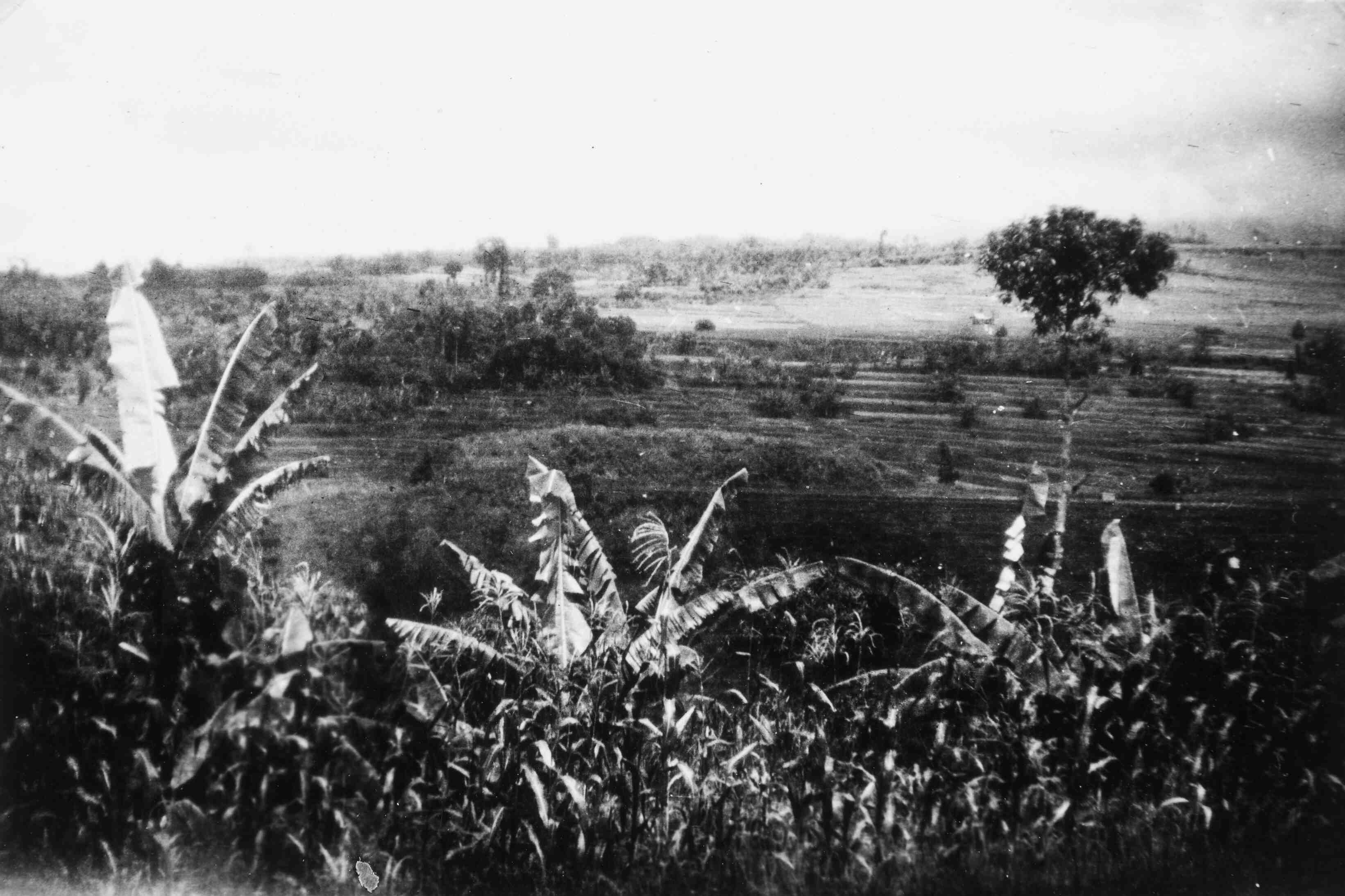 Gezicht vanaf de sterrenwacht (op de achtergrond Tangkoeban Prahoe), Java, 1946 of 1947