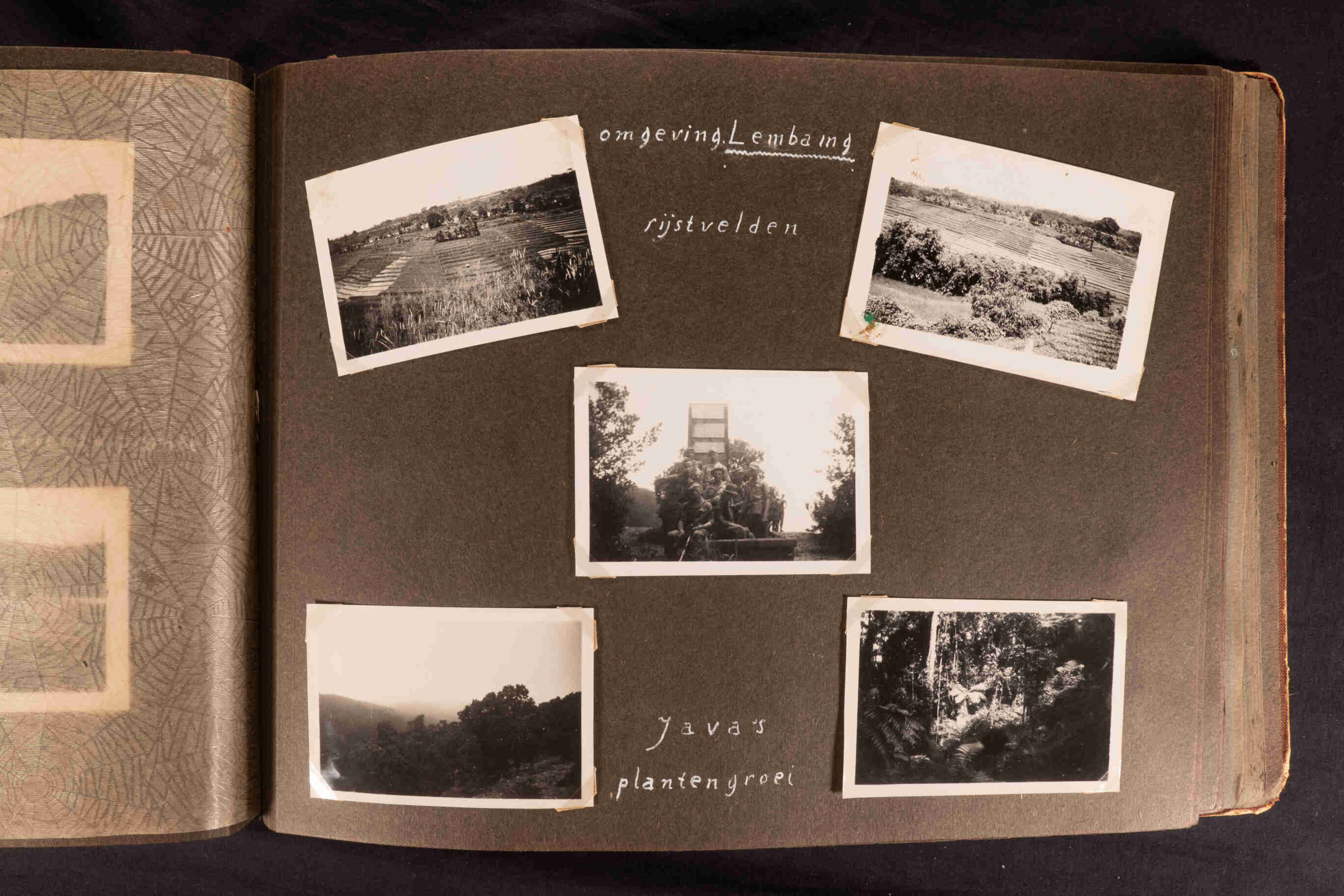 Omgeving Lembang, rijstvelden, Java's plantengroei