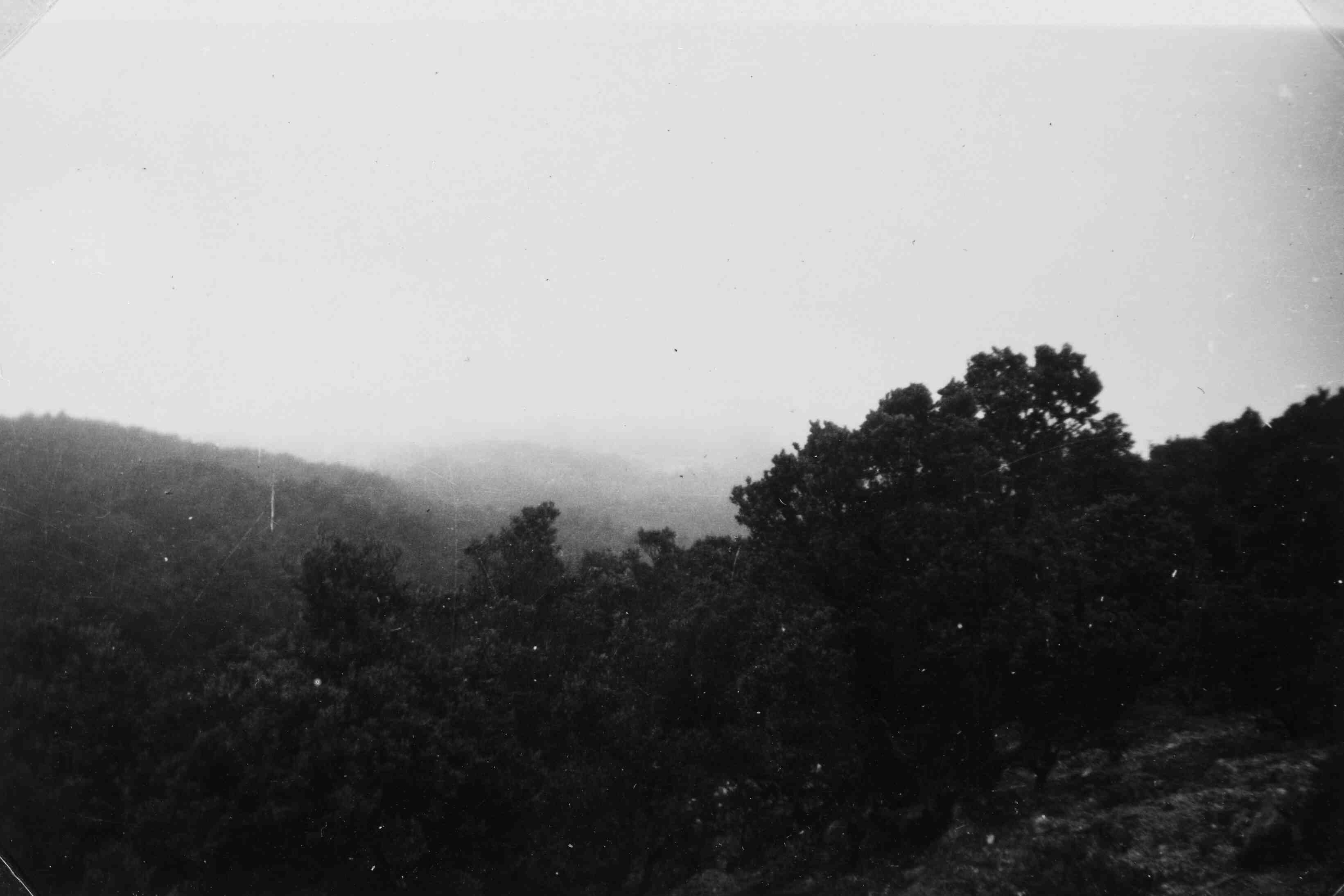 Java's plantengroei 1946 of 1947