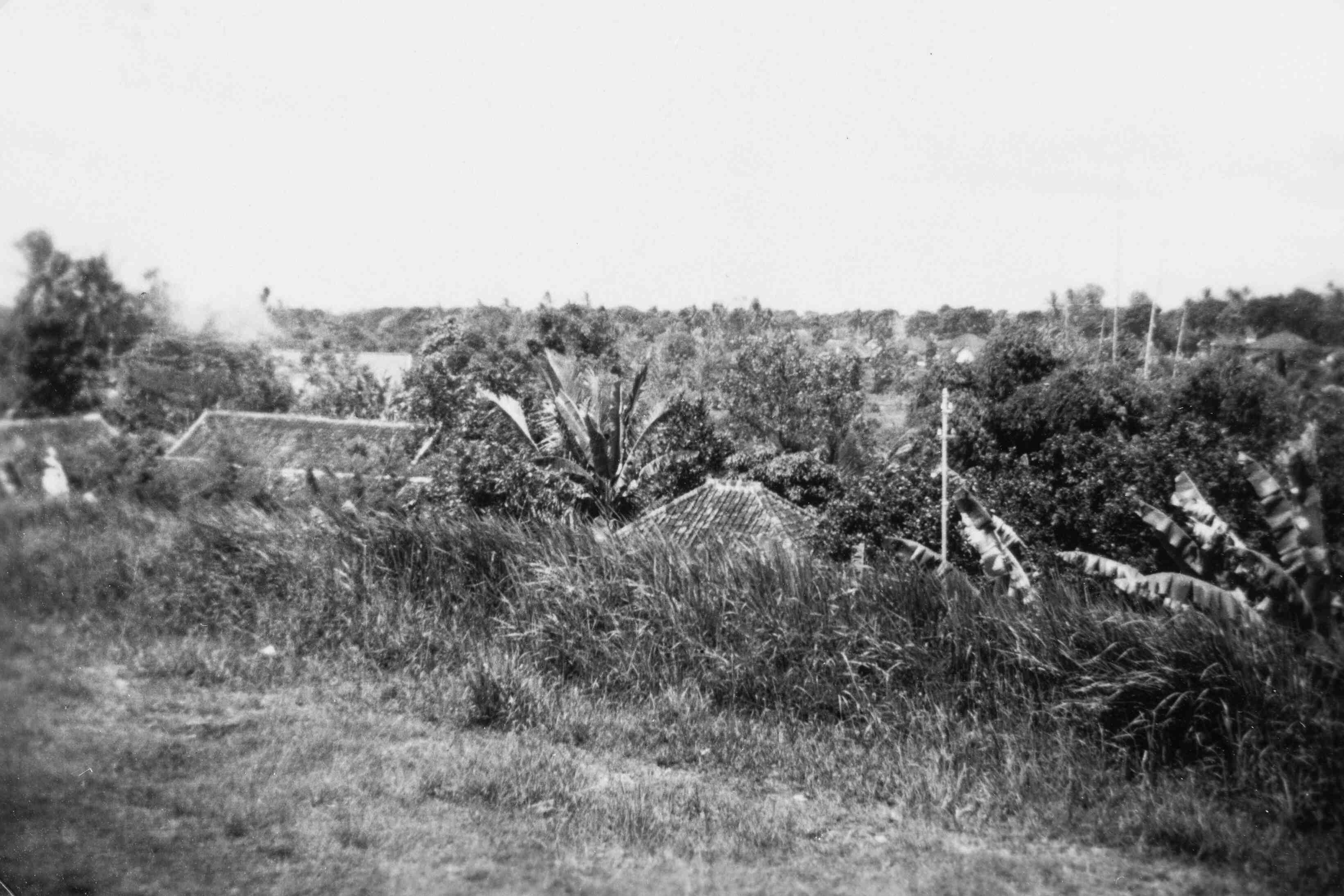 Kampong verscholen tussen de bomen 1946 of 1947 Java