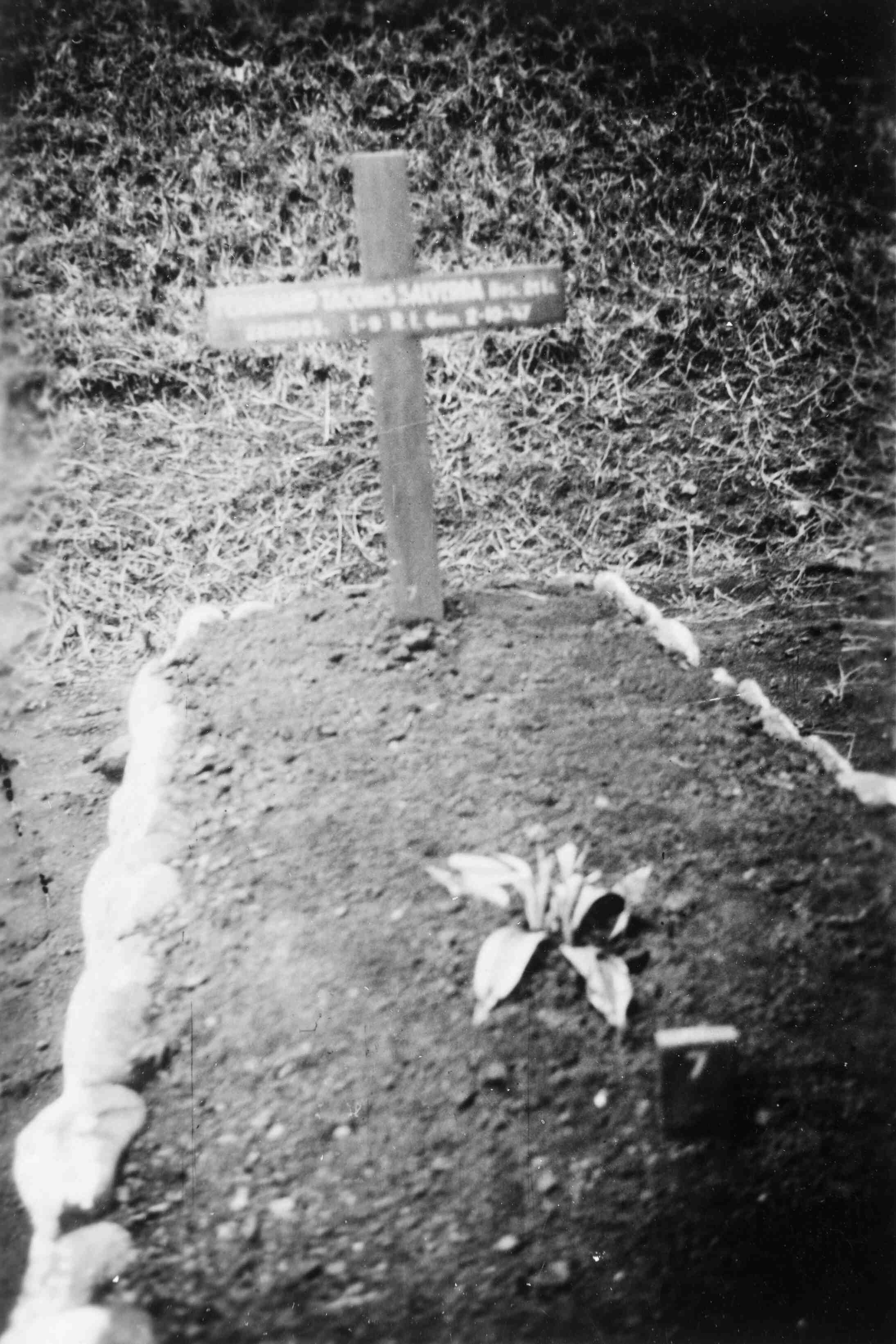 Graf Ferdinand Taconis Salverda, Java, 1947