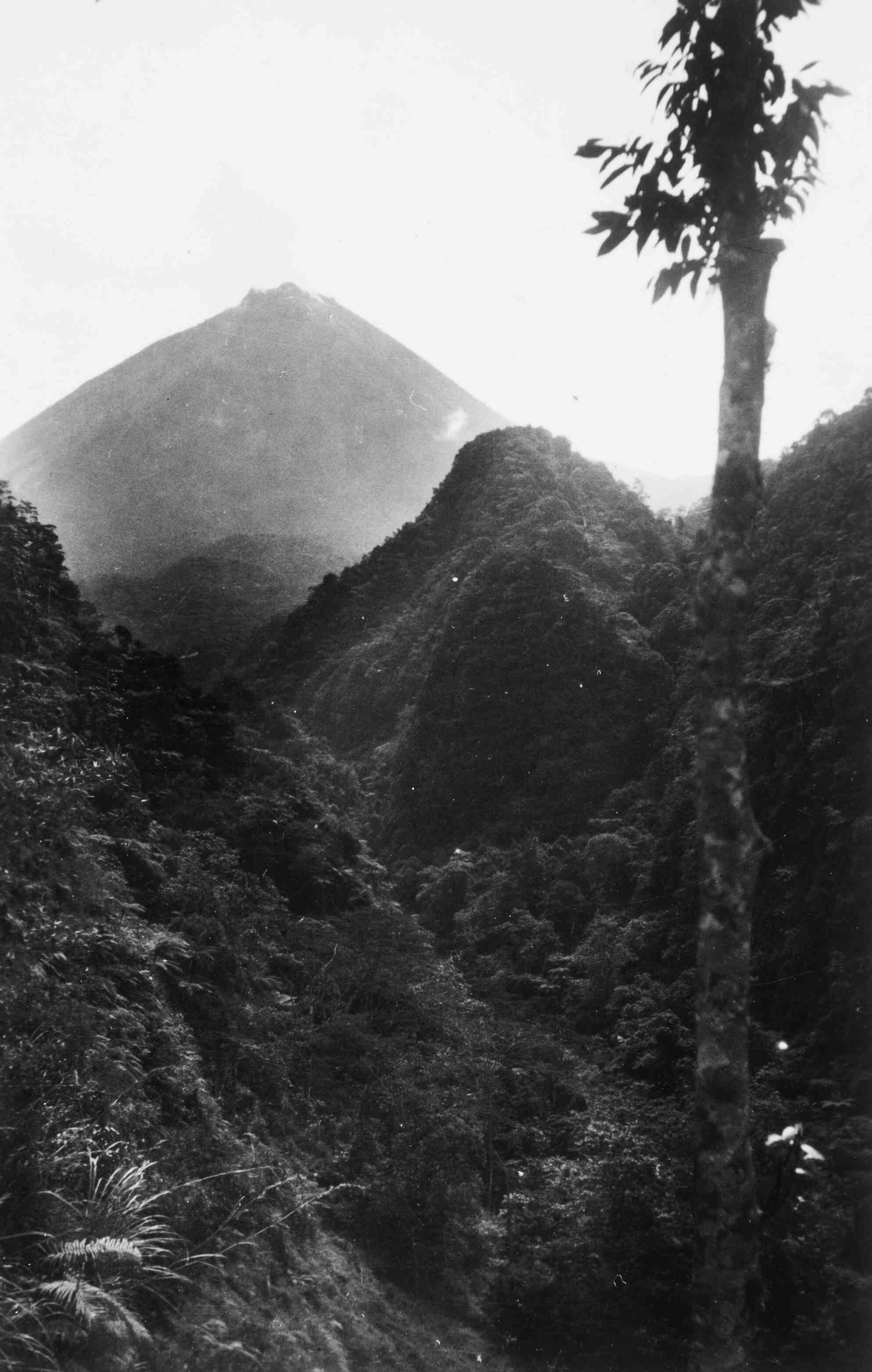 Oude zwartwit foto van bergen en jungle op Java