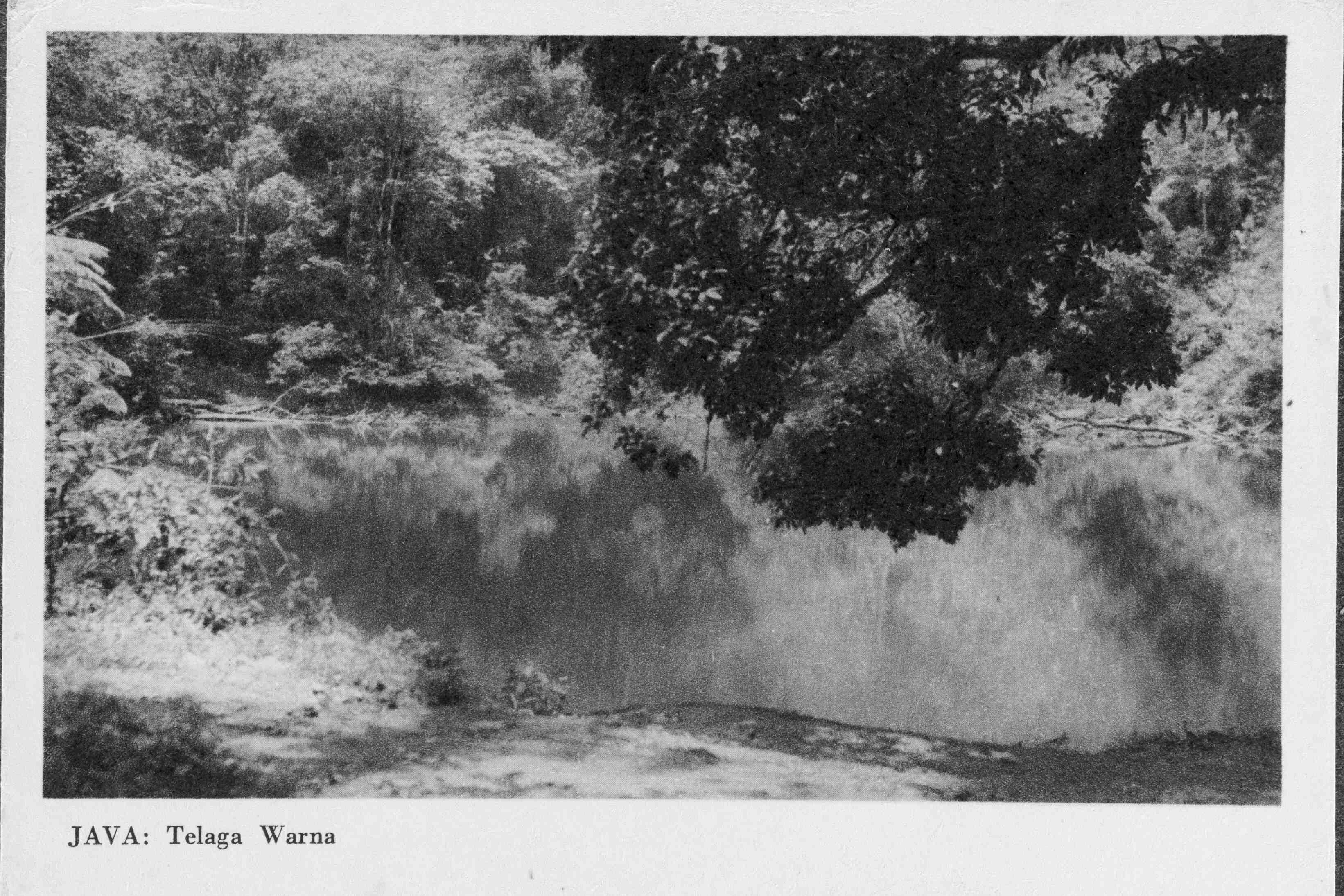 Oude foto, Telaga, Java