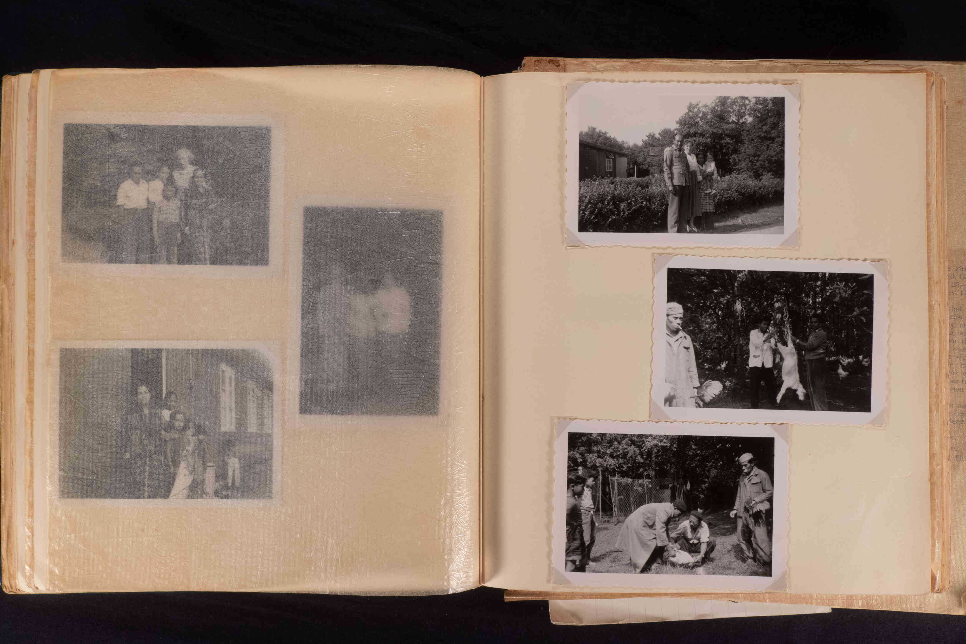 Oud fotoboek over Molukkers