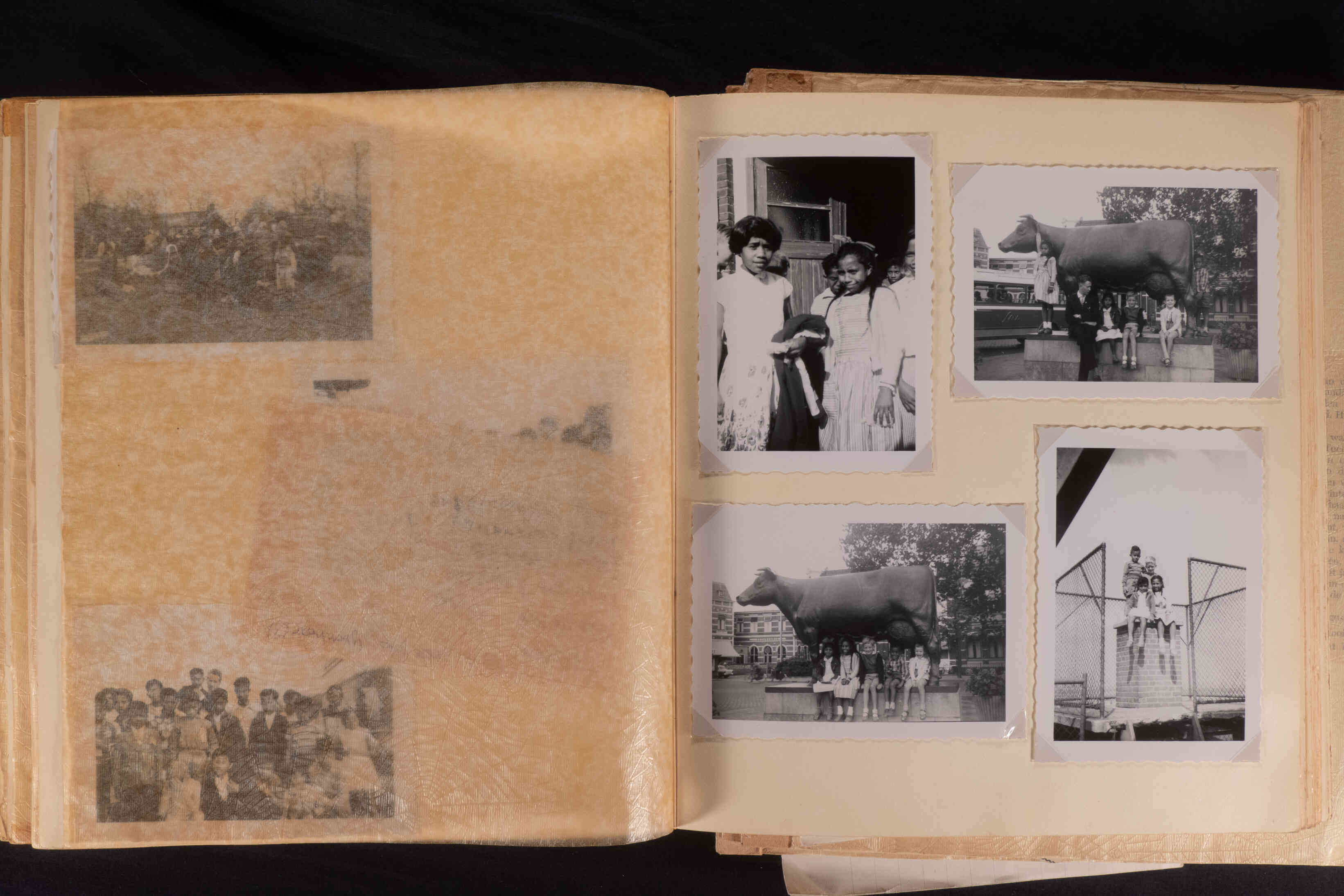 Ambonezen in Leeuwarden