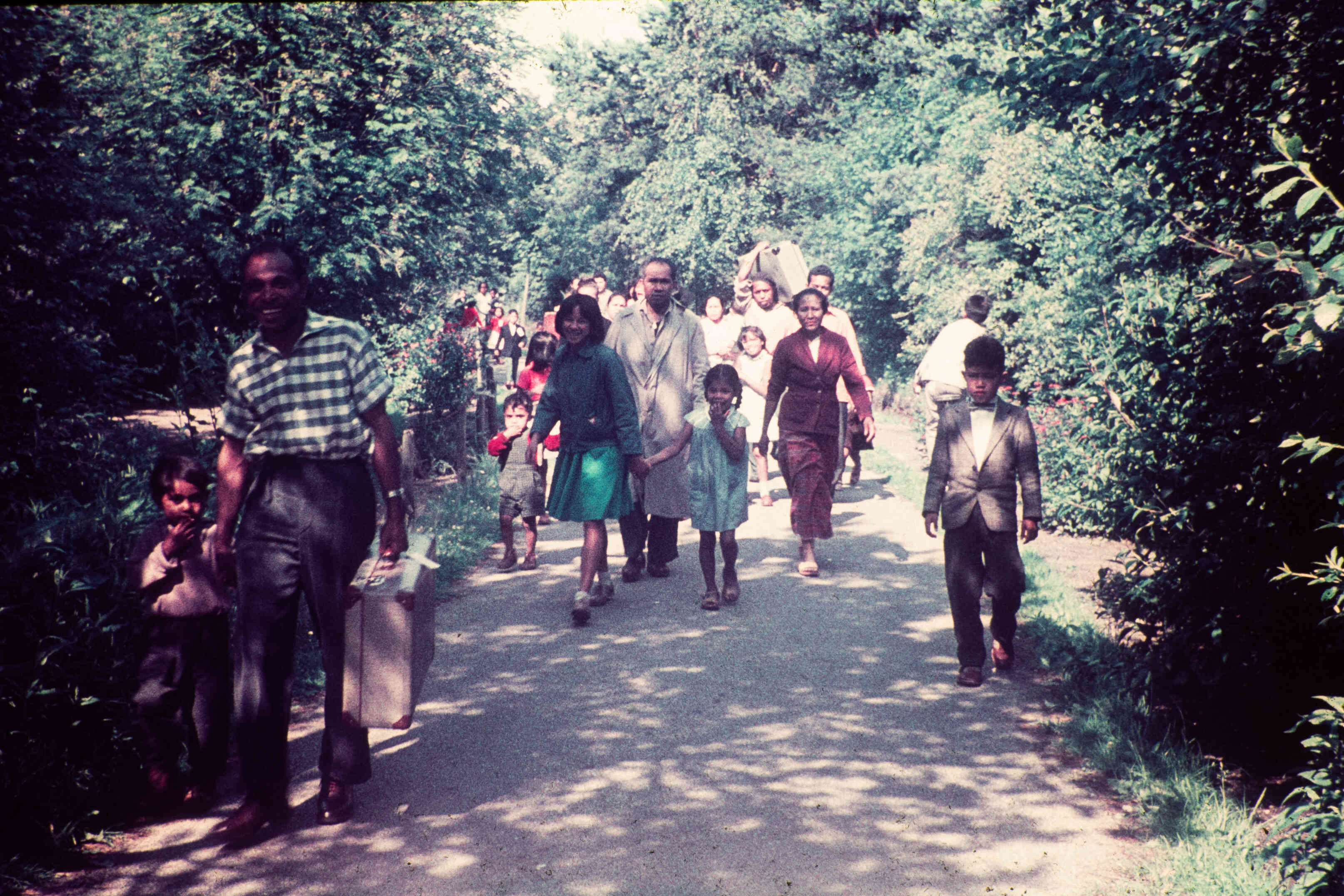 Ambonezen in Nederland