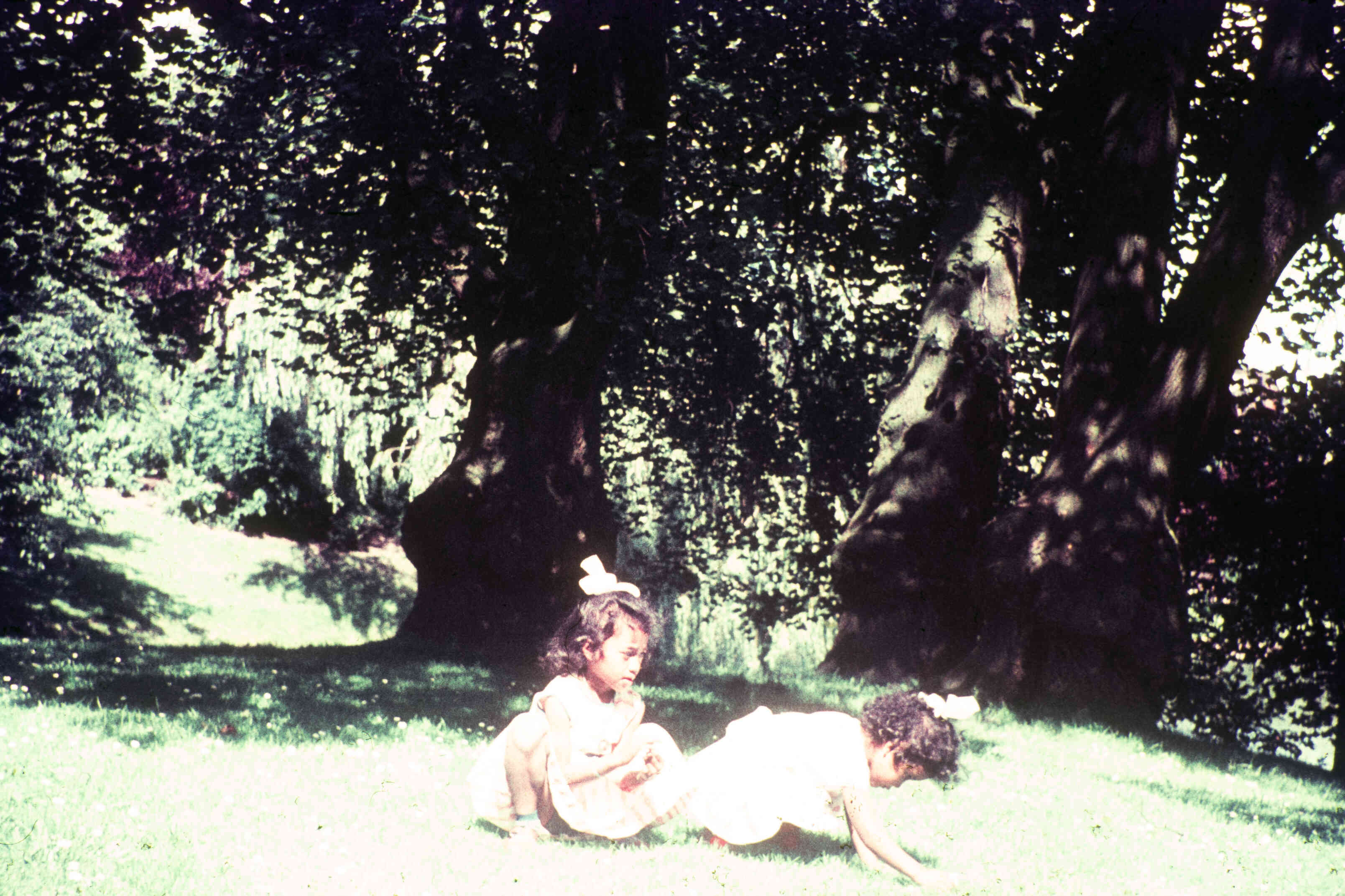 Molukse kinderen in het park