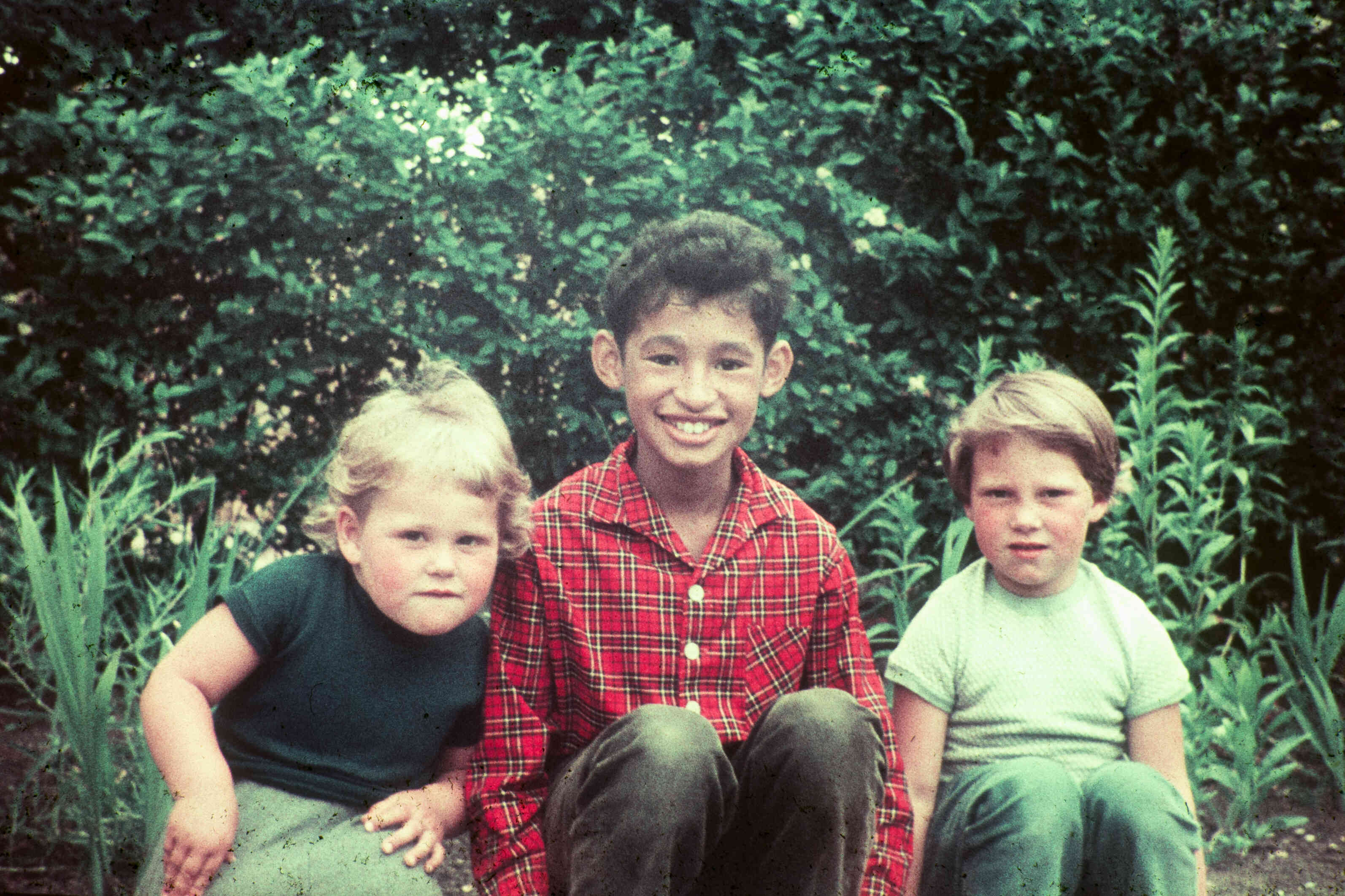 Molukker met flaporen