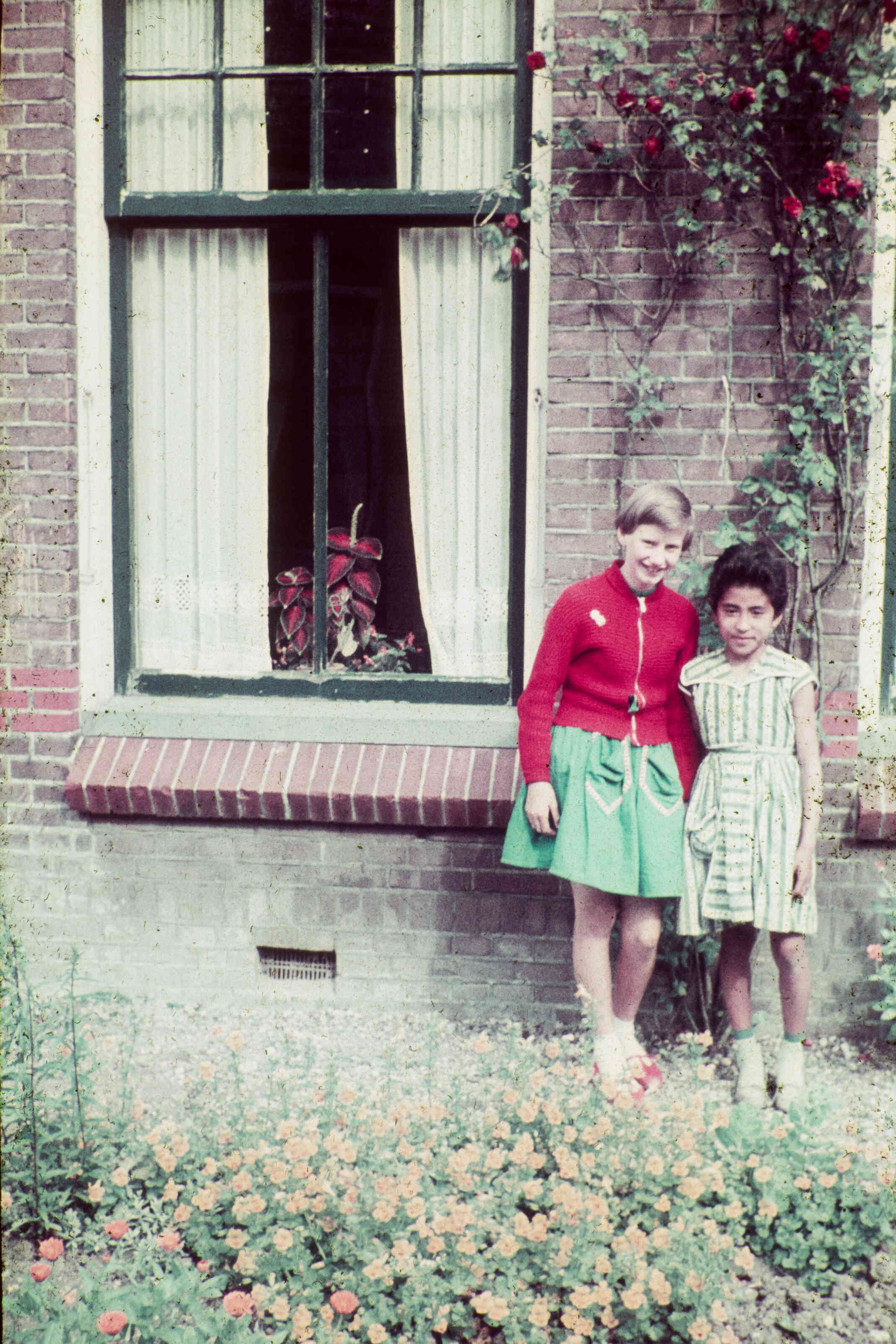 Ambonese kinderen logeren bij Friese pleegouders, rond 1960
