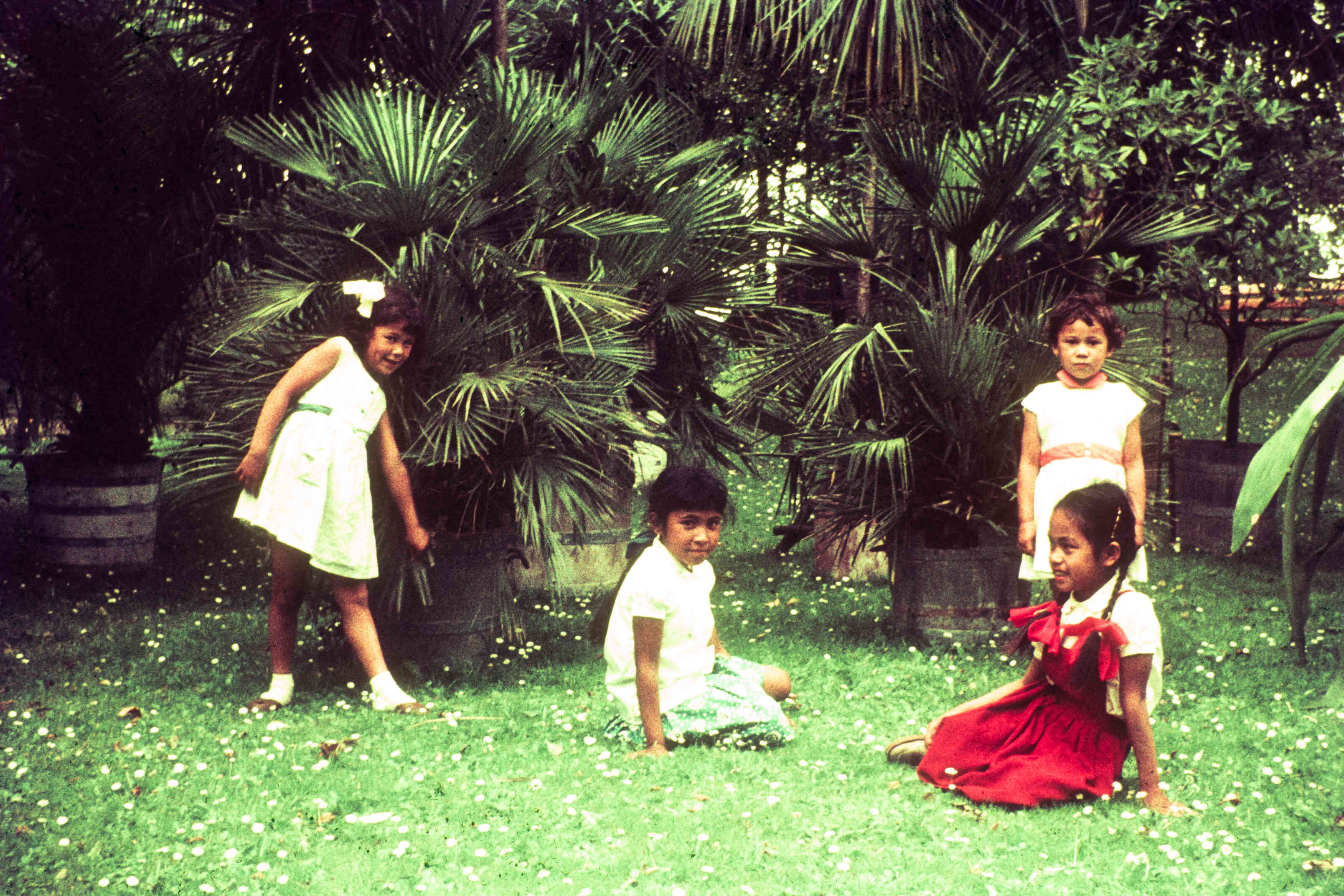 Ambonese kinderen logeren bij Friese gezinnen, rond 1960