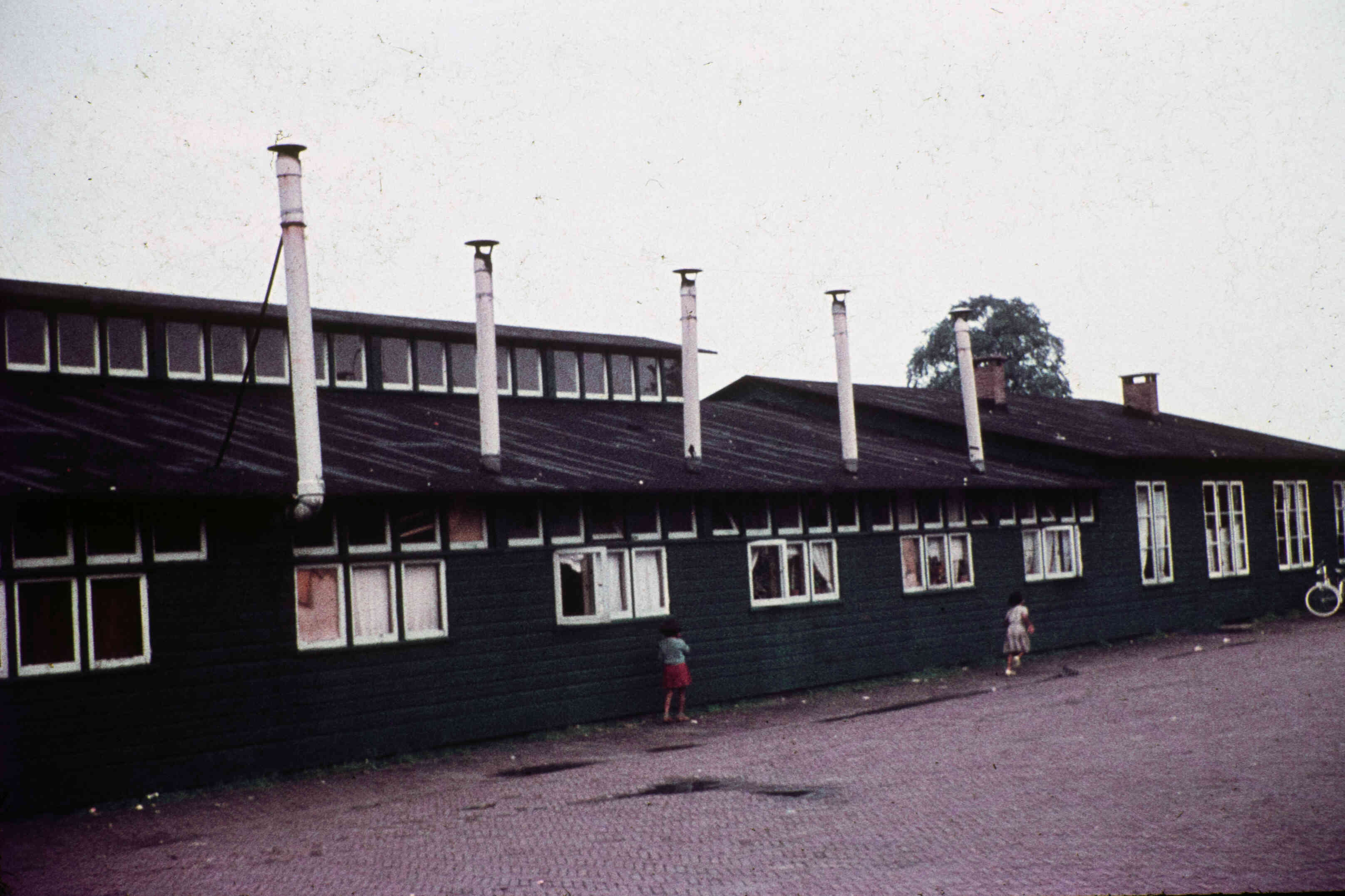 Ambonese kinderen in woonoord
